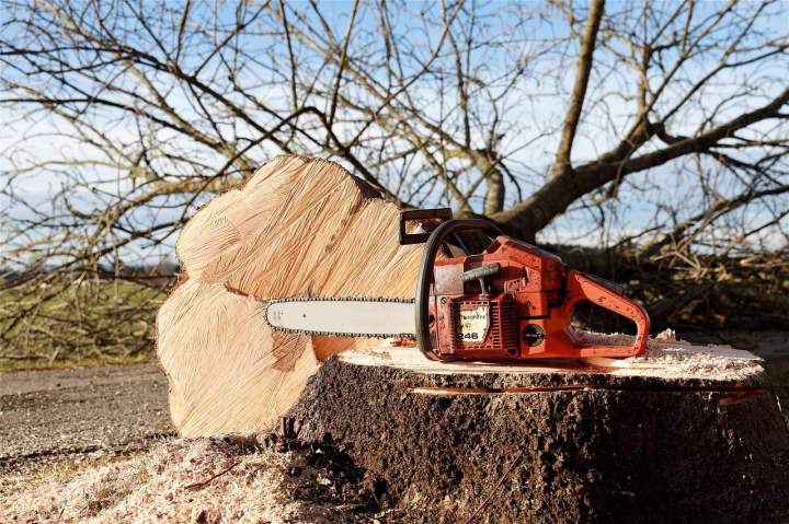 chainsaw 4815949 1280