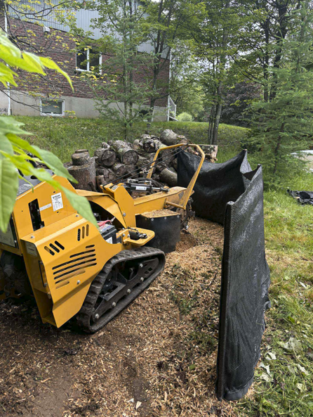 Élagage professionnel Sherbrooke