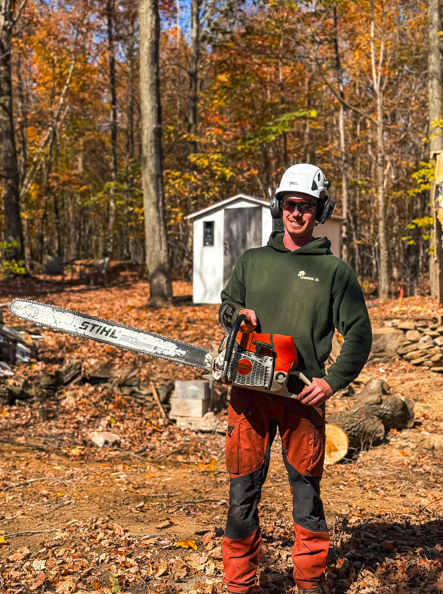 Abattage d'arbre - Sherbrooke
