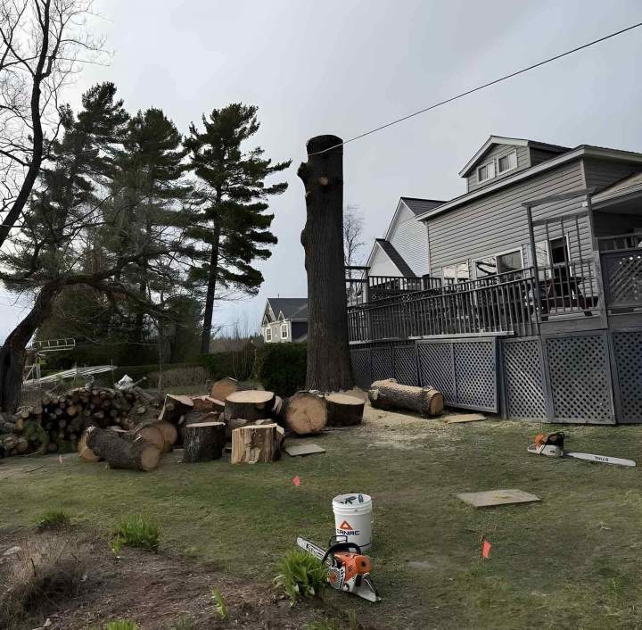 Stump removal service in Sherbrooke